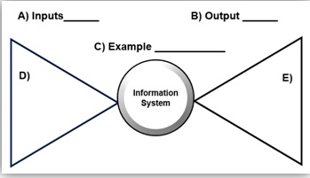 181_Information System.jpg